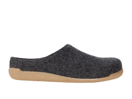 Sanita Lodge Slide (Unisex) - Charcoal Charcoal Cheap