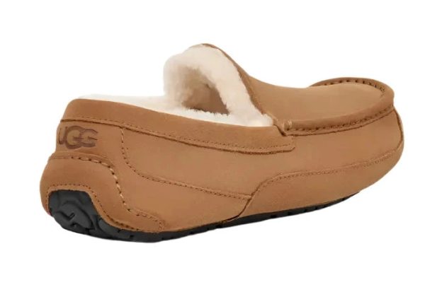 UGG® Men s Ascot Slipper - Chestnut Hot on Sale