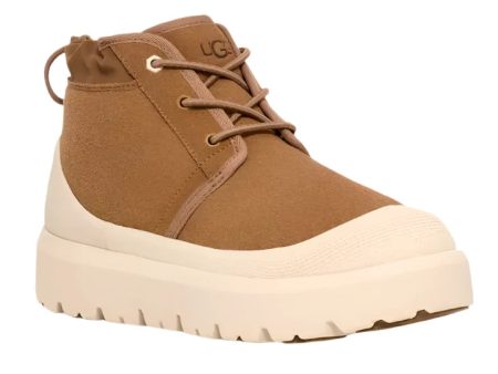 UGG® Men s Neumel Weather Hybrid Boot - Chestnut Whitecap Online now