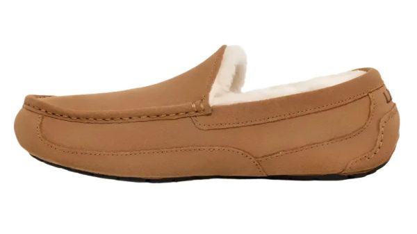 UGG® Men s Ascot Slipper - Chestnut Hot on Sale