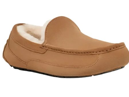 UGG® Men s Ascot Slipper - Chestnut Hot on Sale