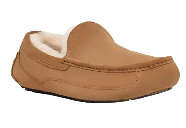 UGG® Men s Ascot Slipper - Chestnut Hot on Sale