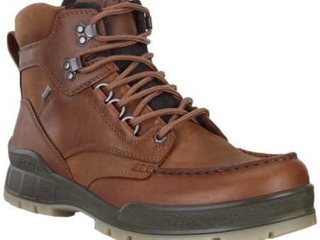 Ecco Men s Track 25 High Gore-Tex Waterproof Boot - Bison For Sale