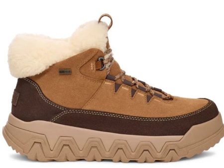 UGG® Women s Terretrail Cozy Lace Boot - Chestnut Online Hot Sale