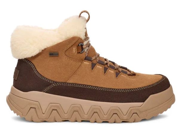 UGG® Women s Terretrail Cozy Lace Boot - Chestnut Online Hot Sale