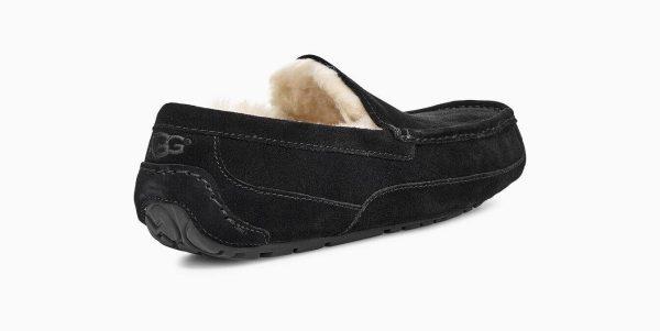 UGG Ascot Online Hot Sale