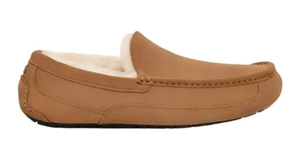 UGG® Men s Ascot Slipper - Chestnut Hot on Sale