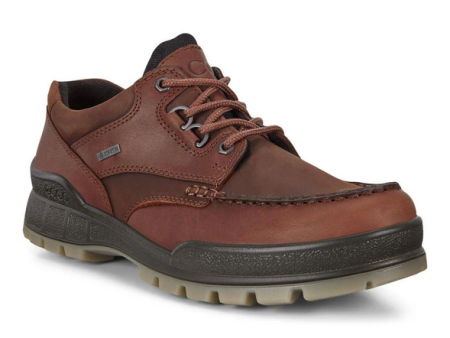 ECCO Men s Track 25 Low Gore-Tex Boot - Bison Online Sale