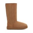 UGG® Women s Classic Tall II Boot - Chestnut Online Hot Sale