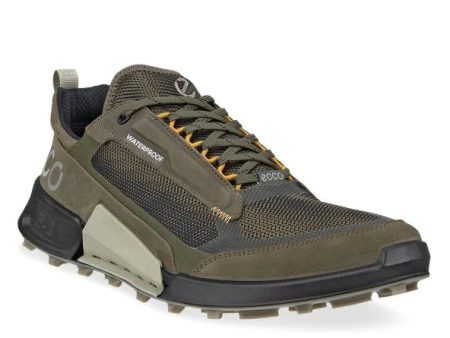 ECCO Men s BIOM 2.1 Mountain Waterproof Sneaker - Grape Leaf Tarmac Black Cheap