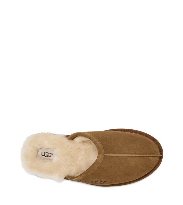 UGG Scuff Sale